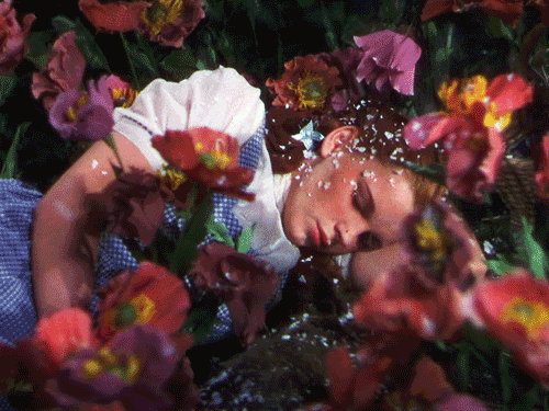 Wizard of Oz GIF