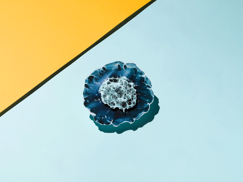 Animated photographic gif of a flat surface split between the colours blue and yellow on the diagonal. In the centre of the frame is an illustration of a stem cell. Around the stem cell, small model figures appear one-by-one. The male figures are coloured yellow and gather on the yellow background. The female figures are blue and gather on the blue background.